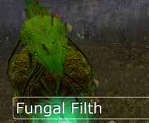 Fungal Filth