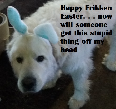 kato easter.jpg