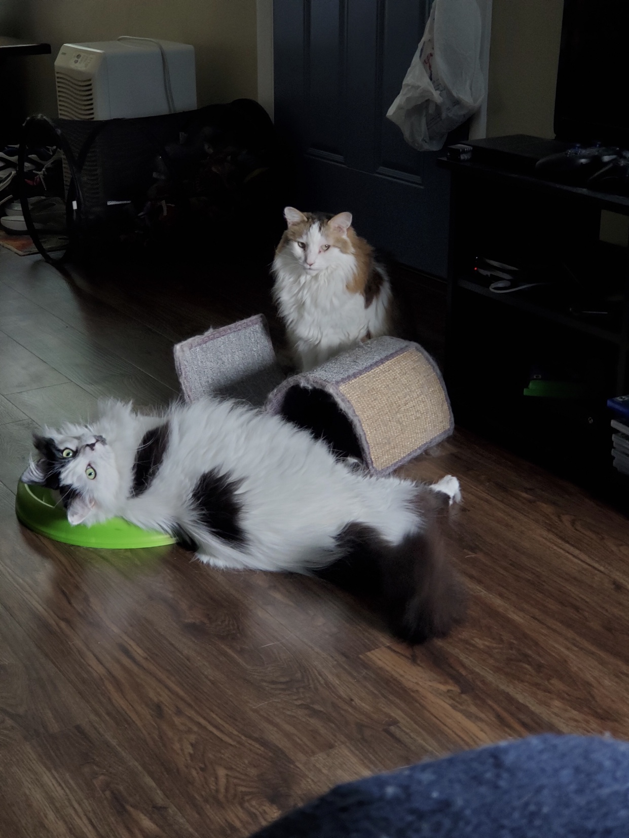 904B662C-5CFE-4A84-BF74-34857C448D26.jpeg