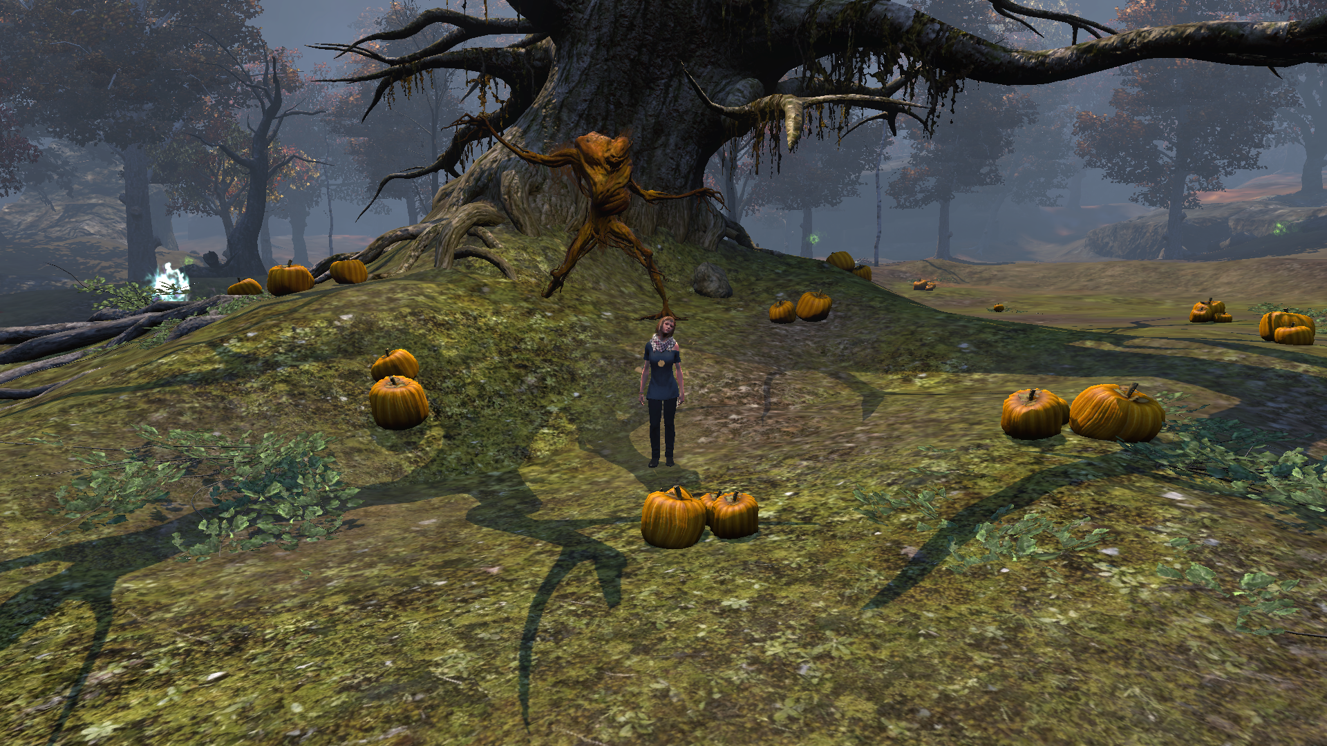 Pumpkinpatch.png