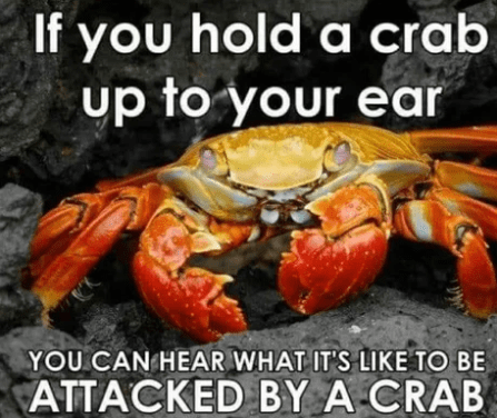 crabbake.png