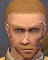 waspstar_efit.jpg