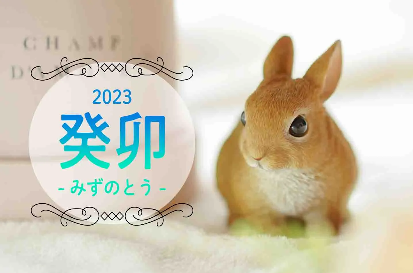 mizunotou.png